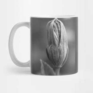 Closeup of Hibiscus Bud in Black and White Mug